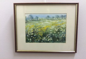 Field of buttercups and daisies